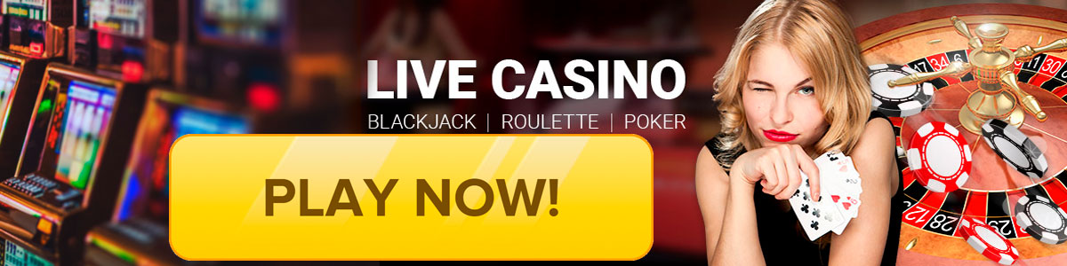 Play Norppa Casino now!